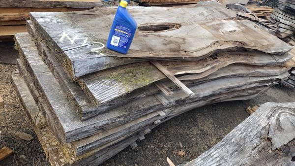 N12- Dawn Redwood slabs- dry