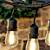 Outdoor String Lights 48ft 2 thumbnail