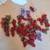 Grapes 1 thumbnail