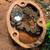 Female ball python 2 thumbnail