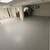 Handyman drywall paint floors deck repairs fences roof siding guters remodeling 11 thumbnail