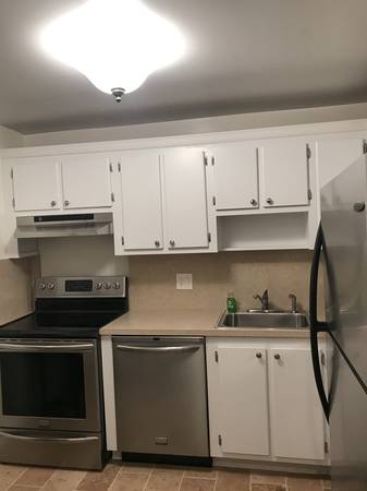 $240,000 / 2br - 1100ft2 - Condo in St Petersburg, FL (St Petersburg FL)63991226318082124