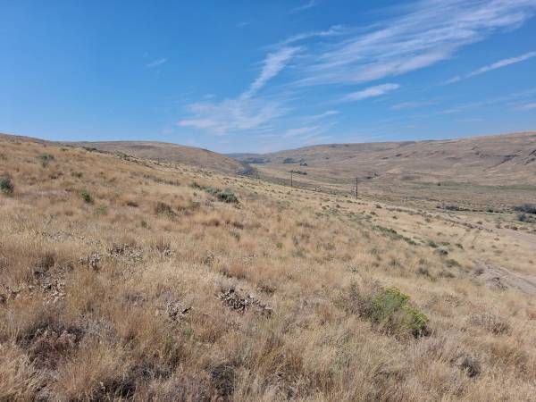 $95,000 Área del lago Chelan (Bridgeport)