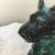 Vintage Blue Mountain Pottery - Scottie Terrier Dog 7 thumbnail