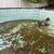 💦 Your Pool, Our Priority! Late Openings • Liner Installations • Green-to 7 thumbnail