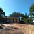 tree removal tree service  tree Trimming Stump grinding property clean 20 thumbnail