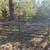 Beautiful 10 Acre Property - Fenced with Trees 3 thumbnail