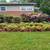 Overgrown yard clean outs,landscaping,mulch,handyman  Hauls443-619-090 12 thumbnail