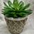 Solid Wood Giraffe, Potted Faux Succulents - LOTS OF PHOTOS 12 thumbnail