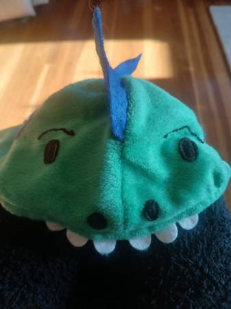 Small Dog Dinosaur Costume 1