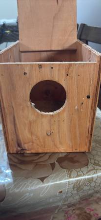 Bird Breeding Box 1