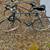 Two Fuji Bikes 3 thumbnail