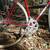 Vintage Early 80s Shogun 600 Road Bike 8 thumbnail
