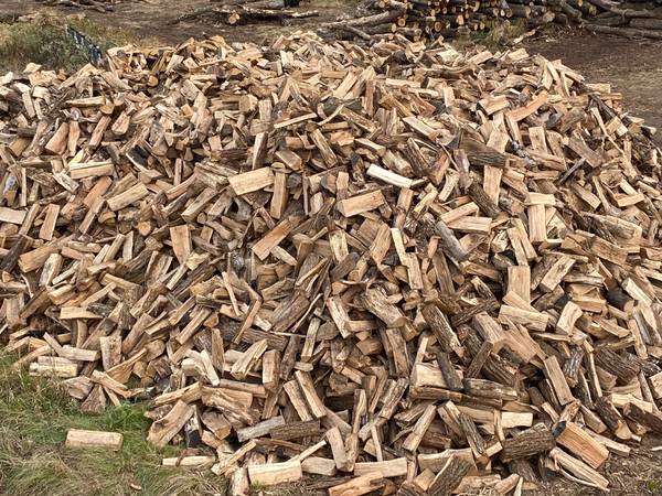 Oak firewood 1