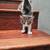 Rehome Kittens -  Bellflower 6 thumbnail