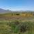 VENTA 80 HECTAREAS VALLE DE LAS PALMAS  $ 2'220,000 Dlls 6 thumbnail