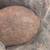 Mimosa Hostilis RootBark 2 thumbnail
