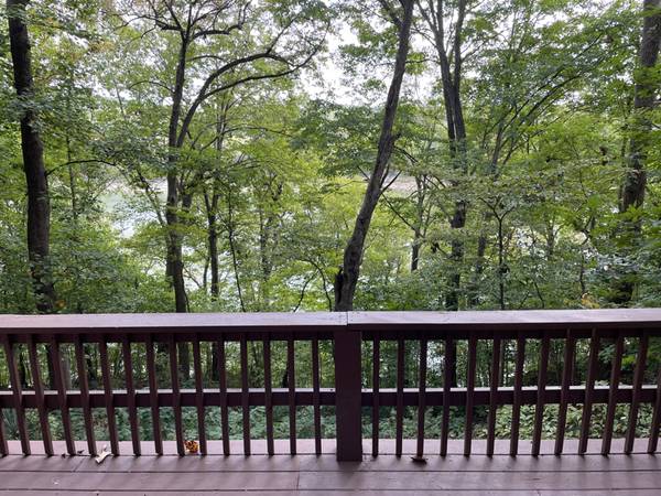 $1495.00 / 3br - 1150ft2 - Cozy real Log Cabin with Lake view64022450810371121
