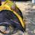 Burley Bee bike trailer for sale 1 thumbnail