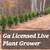 Privacy Trees We Insall! Thuja Green Giants, Leyland Cypress 7 thumbnail