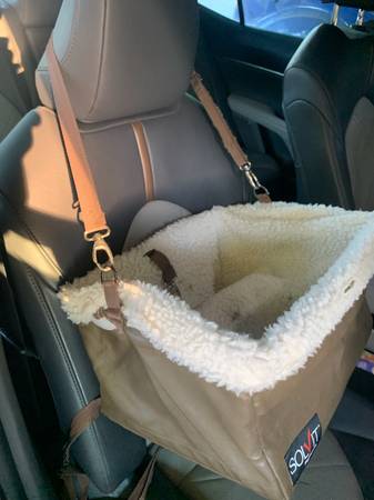 Solvit pet booster seat 1