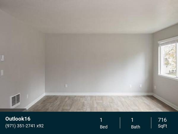 Inviting 1 BR | Modern Comforts, Clubhouse Access & Views 1
