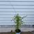 Plants 10 thumbnail