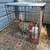 Rhode island read roosters, one copper marion rooster 2 thumbnail