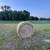 Grass Bales and Alfalfa Bales 3 thumbnail
