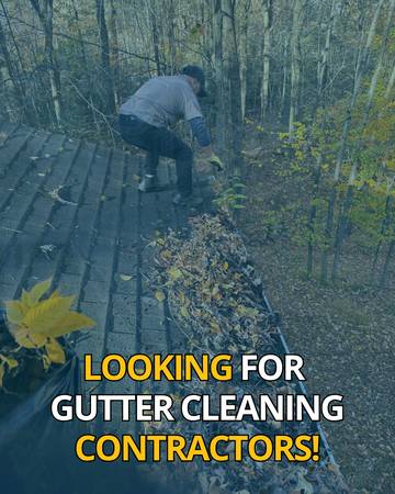 Wheeling WV gutter cleaner needed 1