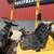 Hyster S50XM Forklift 8 thumbnail
