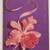 1946 The Perfect Hostess Party Entertaining Menus Book Nancy Prentiss 1 thumbnail
