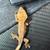 Crested geckos! 7 thumbnail
