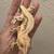 Crested geckos 2 thumbnail