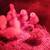 Chicken eggs for incubation 3 thumbnail