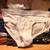 Used Undies 1 thumbnail
