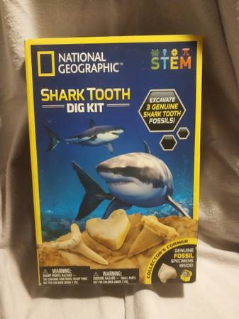 Shark Tooth Dig Kit 1