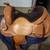 Saddle & Accessories 2 thumbnail