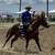 Ranch Gelding 2 thumbnail