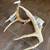 Deer Antlers - Multiple Pair 6 thumbnail