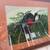Audubon Type Bird Picture - Framed, Matted With Glass 2 thumbnail
