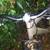mongoose mountain bicycle 2 thumbnail