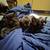 FREE KITTENS 3 thumbnail