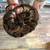 Ball Pythons 3 thumbnail
