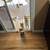 Perritos 1 thumbnail