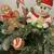 NEW- "I Believe" Snowman -Gingerbread Candle Holder Arrangement 4 thumbnail