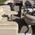 2014 Bennington 20 slx 3 thumbnail