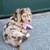 SeekingDachshundpups 1 thumbnail