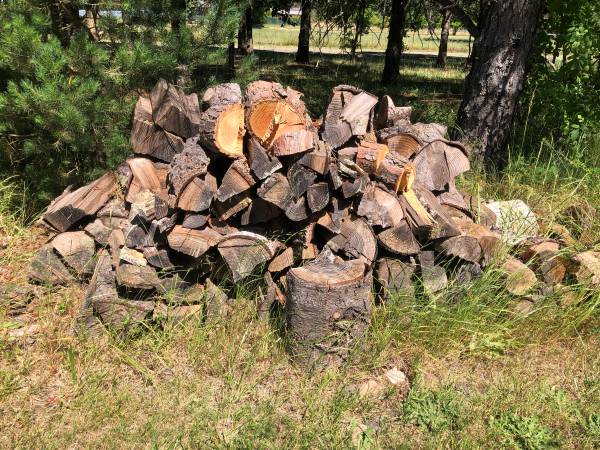 Firewood 1