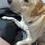 AKC Labradors 12 thumbnail